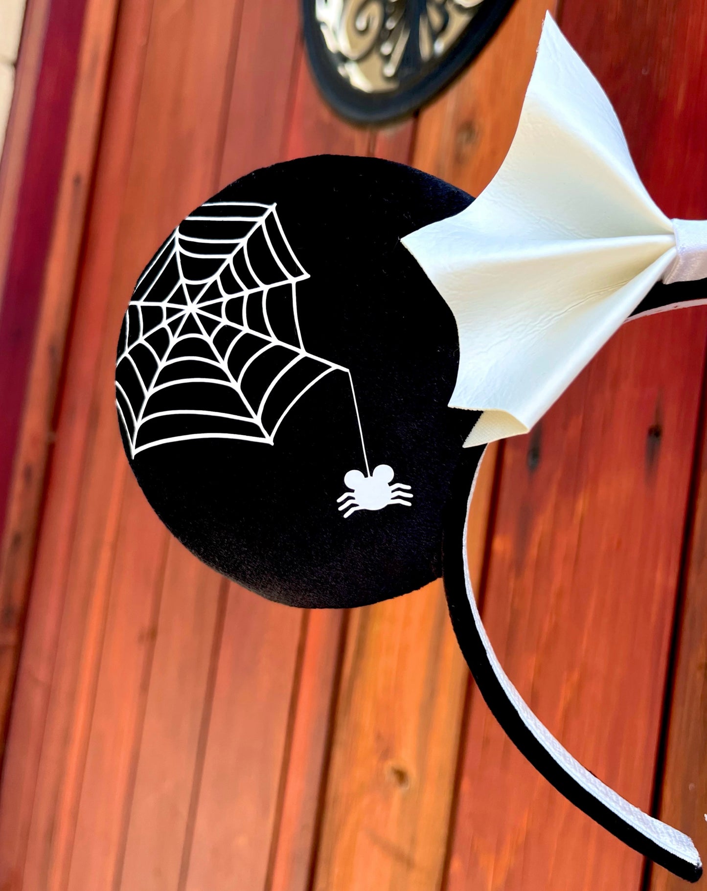 Spooky Mouse Spider