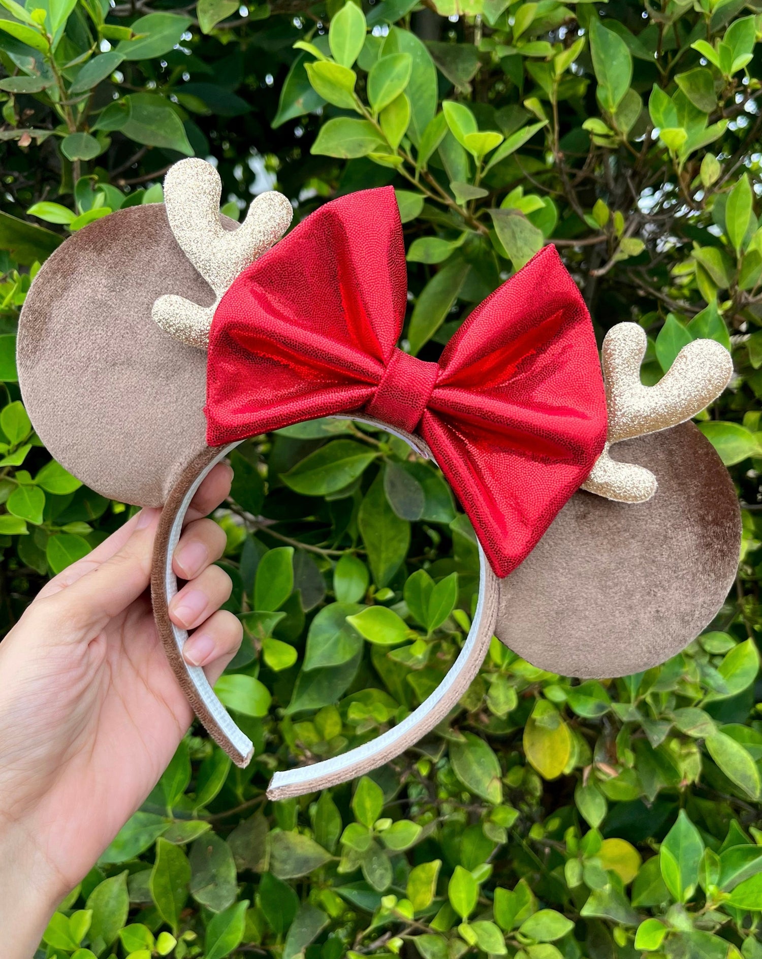 Holiday Inspired Ears